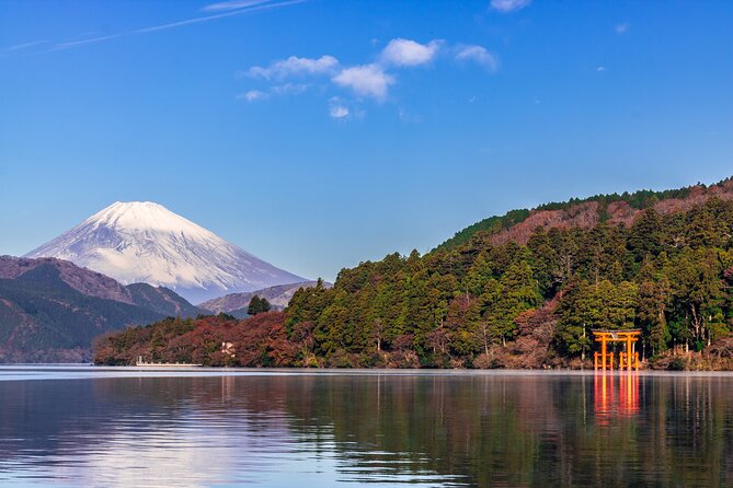 Mt. Fuji and Hakone Day Trip From Tokyo with Bullet Train Option - Hakone Ropeway to Togendai: a quick aerial break from the long day