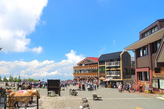Mt. Fuji and Hakone Day Trip From Tokyo with Bullet Train Option - Odawara transfer and the Shinkansen return: faster, but you manage the last mile