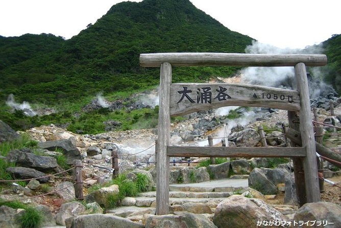 Mt. Fuji and Hakone Day Trip From Tokyo with Bullet Train Option - Lunch upgrade (+Lunch): handy if you plan it, uneven if you’re picky