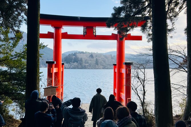 Mt. Fuji, Cherry Blossom & Shiba Sakura Pvt. Day Tour - Private Tokyo to Mt. Fuji transport without the train headaches