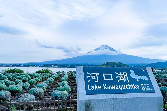 Mt FUJI Day Tour with Private Car and English Speaking Guide - Mt. Fuji by private car: what $440 buys you