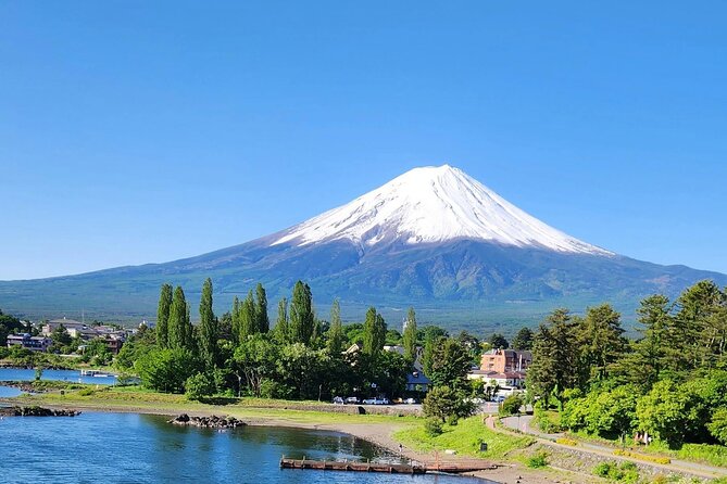 Mt FUJI Day Tour with Private Car and English Speaking Guide - Chureito Pagoda and Arakura Shrine: the Fuji opener you remember