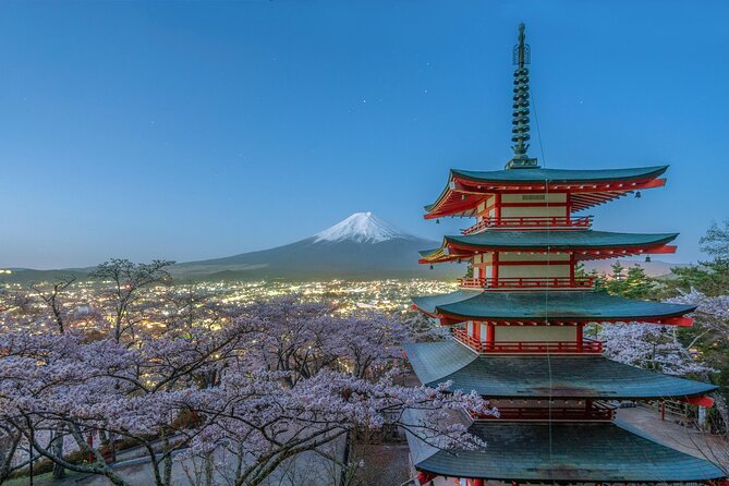 Mt FUJI Day Tour with Private Car and English Speaking Guide - Panoramic Ropeway and the ropeway view tradeoff