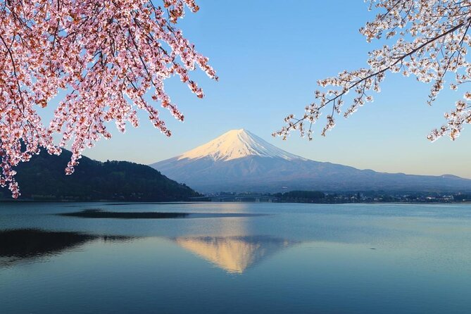 Mt. Fuji Day Trip from Tokyo with English Speaking Driver Guide - Key points before you go