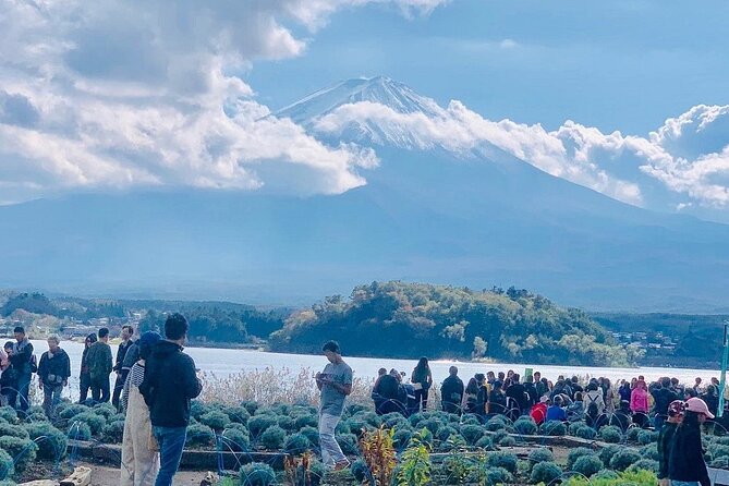 Mt. Fuji Day Trip from Tokyo with English Speaking Driver Guide - Private van to Fuji Five Lakes: the real perk is your control