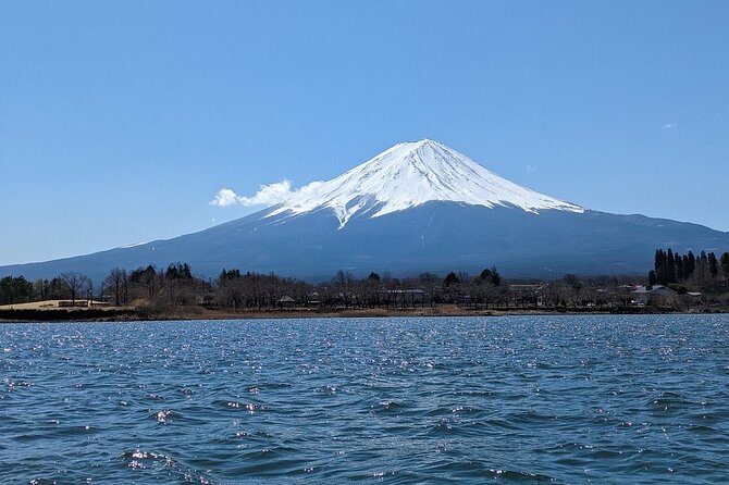 Mt. Fuji Day Trip from Tokyo with English Speaking Driver Guide - Timing matters: how early Tokyo traffic shapes your Fuji day