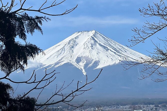 Mt. Fuji Day Trip from Tokyo with English Speaking Driver Guide - Oshino Hakkai: calm village vibes from a dried-up lake