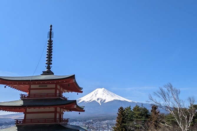 Mt. Fuji Day Trip from Tokyo with English Speaking Driver Guide - Price and value: $497 per group can be surprisingly fair