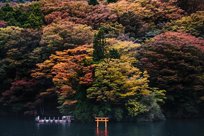 Mt Fuji & Hakone Cruise, Drum Show Bullet Train 1 Day from Tokyo - Stop 3: Hakone Ropeway up to Mt Komagatake (the big view payoff)