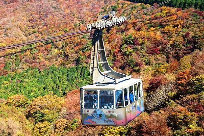 Mt Fuji & Hakone Cruise, Drum Show Bus 1 Day from Tokyo - Lunch at Fuji Zakura Hotel and the Wadaiko Drum Performance