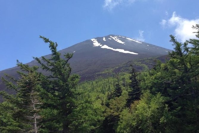 Mt Fuji & Hakone Cruise, Drum Show Bus 1 Day from Tokyo - Hakone Komagatake Ropeway: The Summit View Push