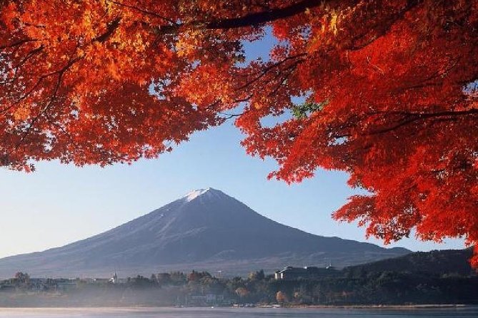 Mt Fuji & Hakone Cruise, Drum Show Bus 1 Day from Tokyo - Price and Value: Is $122.55 a Good Deal?