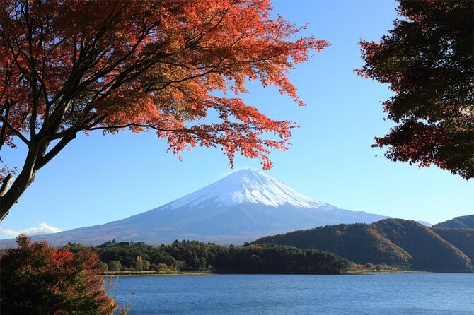 Mt Fuji & Hakone Cruise, Drum Show Bus 1 Day from Tokyo Sta. Area - Getting to Fuji and Hakone the easy way from Tokyo