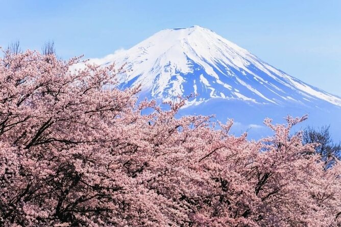 Mt. Fuji, Hakone Full-Day Private Tour with English Driver - Timing from Tokyo: a 10-hour day that moves