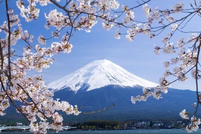 Mt. Fuji, Hakone Full-Day Private Tour with English Driver - Lake Kawaguchiko: easy Fuji scenery plus optional extras