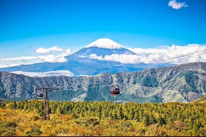 Mt. Fuji, Hakone Full-Day Private Tour with English Driver - Chureito Pagoda and the Arakura Sengen Shrine steps