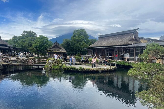 Mt. Fuji, Hakone Full-Day Private Tour with English Driver - Oishi Park: the quieter Fuji-and-lake perspective