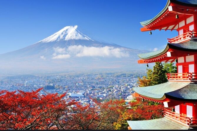 Mt. Fuji, Hakone Full-Day Private Tour with English Driver - Yoshida Trail to 7th Station: easy trekking, big altitude views