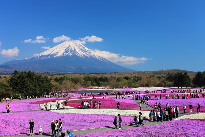 Mt. Fuji, Hakone Full-Day Private Tour with English Driver Guide - Why this private Fuji-and-Hakone route feels different than a DIY day
