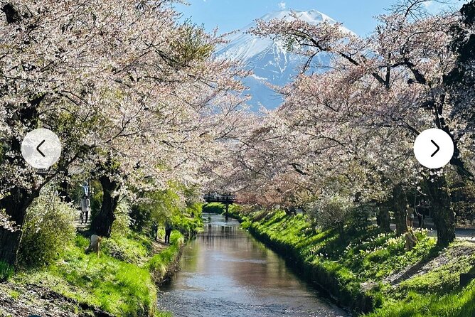 Mt. Fuji, Hakone Full-Day Private Tour with English Driver Guide - 10 hours of stops: how the day flows and how to handle it