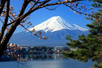 Mt. Fuji, Hakone Full-Day Private Tour with English Driver Guide - Hotel pickup and the English-speaking driver: what to expect