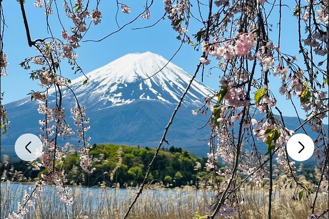 Mt. Fuji, Hakone Full-Day Private Tour with English Driver Guide - Stop 2: Lake Kawaguchiko and the Fuji Five Lakes gateway