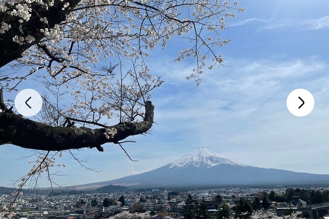 Mt. Fuji, Hakone Full-Day Private Tour with English Driver Guide - Stop 3: Ensoleille ship cruise and the Kachi-kachi view option