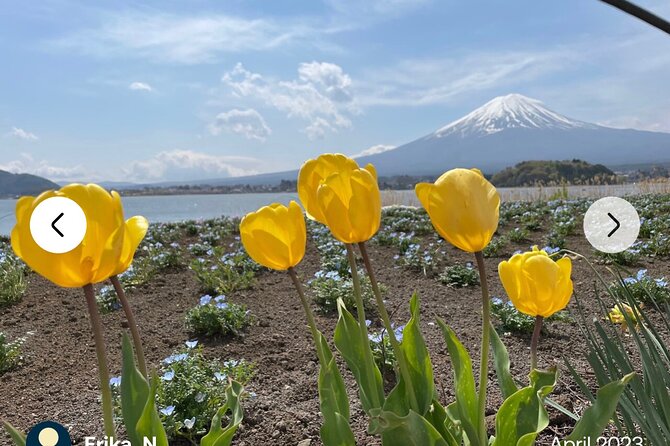 Mt. Fuji, Hakone Full-Day Private Tour with English Driver Guide - Stop 4: Oshino Hakkai ponds (quiet water, dramatic geology)