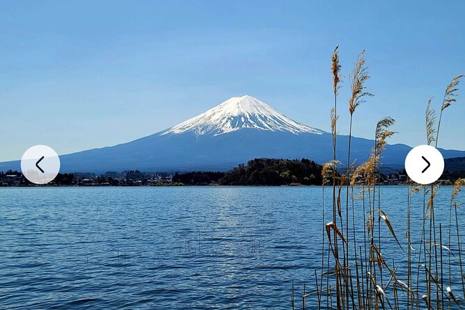 Mt. Fuji, Hakone Full-Day Private Tour with English Driver Guide - Stop 5: Owakudani and Kurotamago black eggs