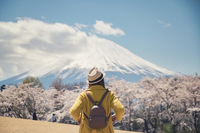 Mt. Fuji & Hakone Private Day Tour with English-Speaking Driver - Pickup times and the 10-hour schedule reality check