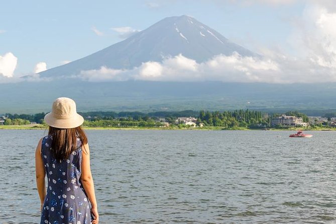 Mt. Fuji & Hakone Private Day Tour with English-Speaking Driver - Lake Ashi pirate ship and Hakone Shrine torii