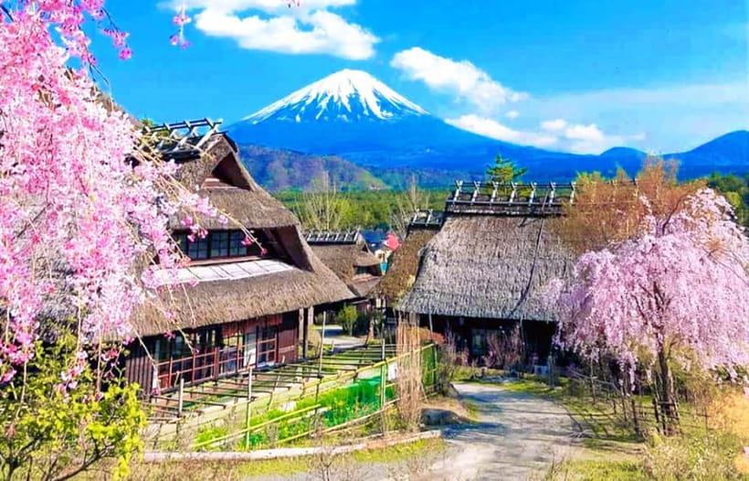 Mt. Fuji Heritage Tour: Traditional Villages, Lakes & Shrine - Saiko Iyashi no Sato Nenba: thatched-roof village + Fuji backdrops