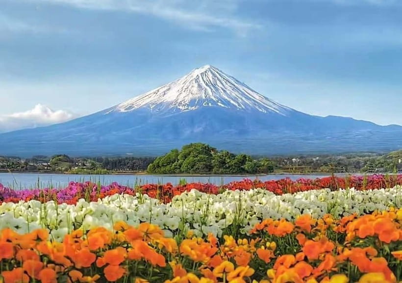 Mt. Fuji Heritage Tour: Traditional Villages, Lakes & Shrine - Lunch break (not included): how to handle the 40-minute window