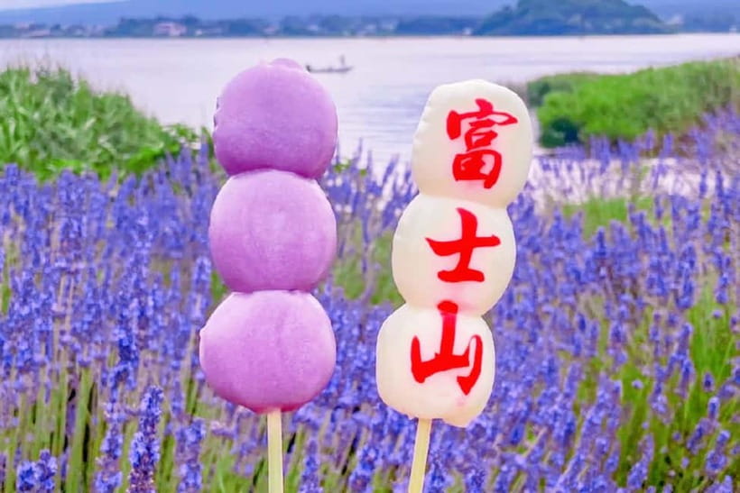 Mt. Fuji Heritage Tour: Traditional Villages, Lakes & Shrine - Oshino Hakkai: eight spring ponds and calm Fuji reflections
