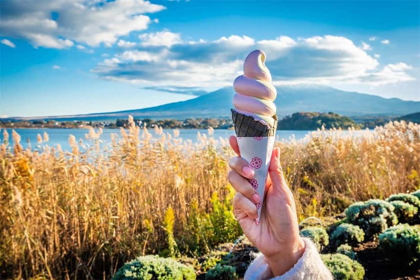 Mt. Fuji Heritage Tour: Traditional Villages, Lakes & Shrine - Group pacing, bathrooms, and getting your photos right