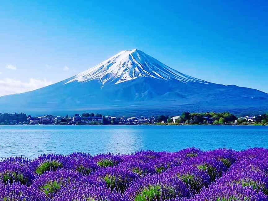 Mt. Fuji & Lake Kawaguchiko Ropeway Panorama Full-Day Tour - Lawson Fuji photo stop: iconic for a reason, but plan your behavior