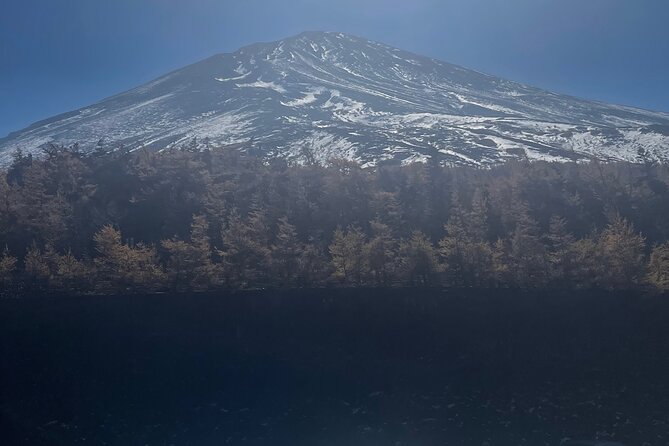 Mt Fuji Private Tour with English Speaking Driver - Arakura Fuji Sengen Shrine and Chureito Pagoda viewpoints