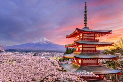 Mt Fuji Private Tour with English speaking driver - Mt. Fuji 5th Station: the headline stop and the extra ticket you may pay
