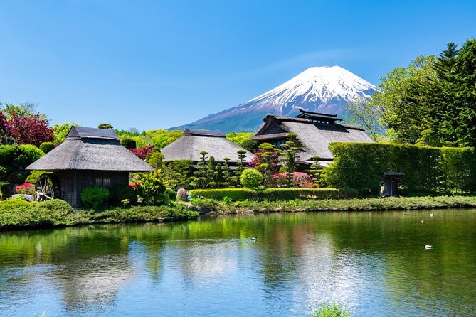 Mt Fuji Private Tour with English Speaking Driver - Mt. Fuji Panoramic Ropeway (optional) and what to expect