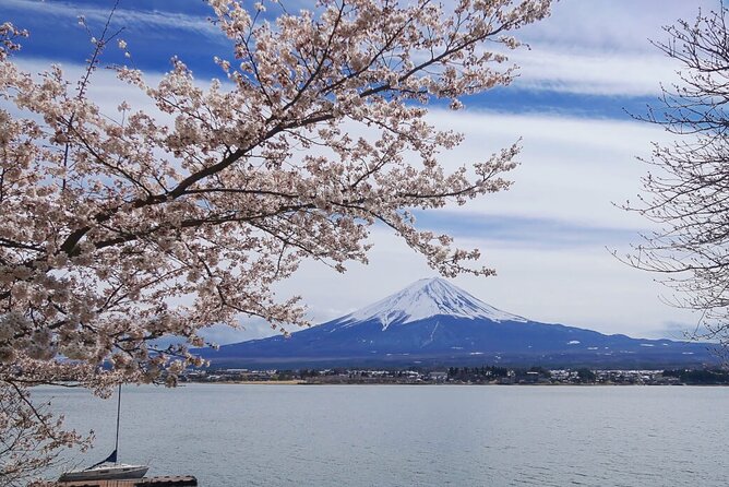 Mt Fuji Private Tour with English Speaking Driver - Fuji-Honcho street photos and Kitaguchi Hongu Fuji Sengen Shrine
