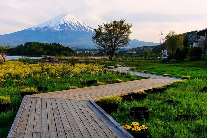 Mt Fuji Private Tour with English Speaking Driver - Oshino Hakkai: eight ponds that feel like a reset button
