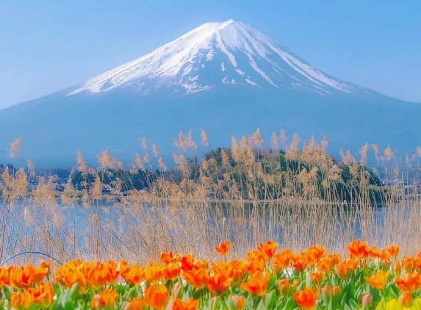 Mt Fuji Top 5 Spots Day Tour: Arakurayama Park,Oshino Hakkai - Key highlights to know before you go