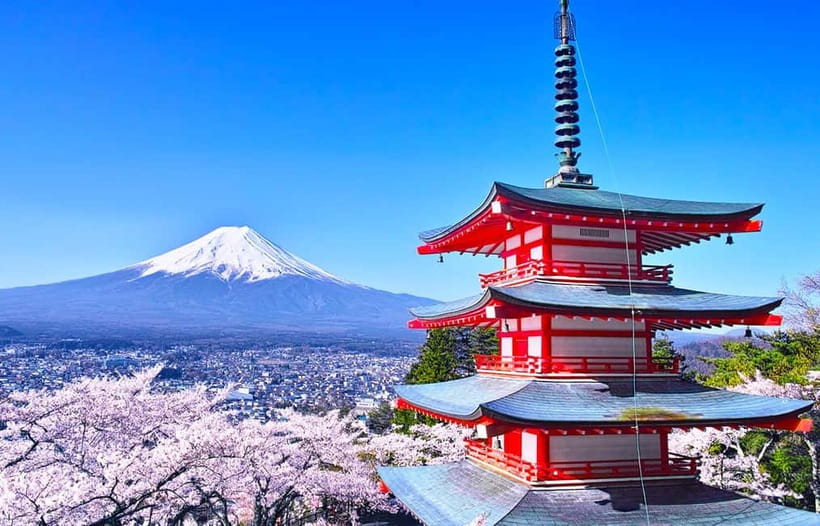 Mt Fuji Top 5 Spots Day Tour: Arakurayama Park,Oshino Hakkai - Lunch reality: plan for 45 minutes and cash-friendly choices