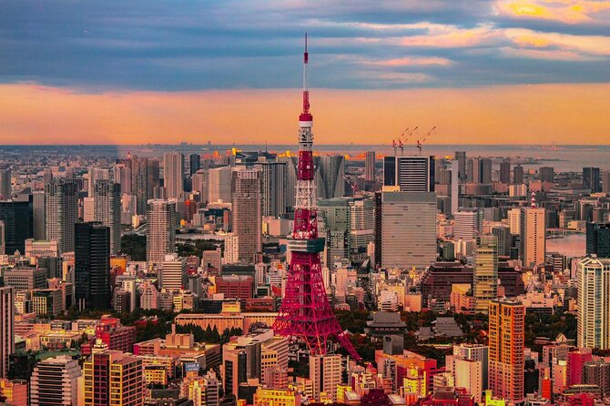 Private and Customisable Tokyo Tour with English Driver-guide - Key Things to Know Before You Go