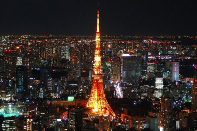 Private and Customisable Tokyo Tour with English Driver-guide - Tokyo Skytree: Panoramas Worth Planning For