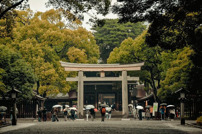 Private and Customisable Tokyo Tour with English Driver-guide - Ginza and Tokyo Station: Modern Tokyo With a Built-In Pause