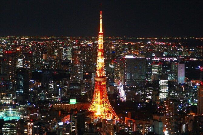 Private and Customisable Tokyo Tour with English Driver-guide - Tokyo Skytree: Panoramas Worth Planning For
