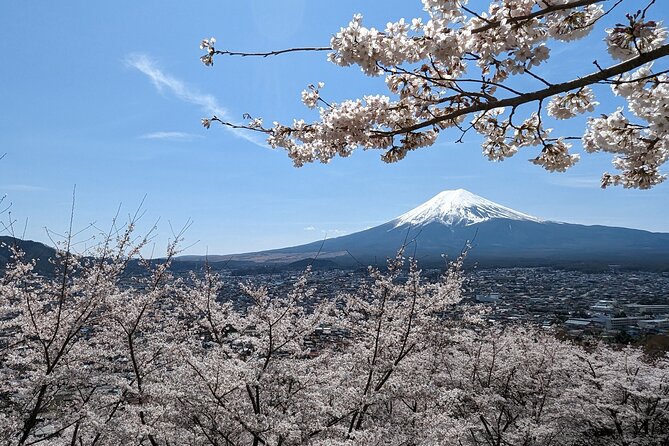 Private Car Tour to Mt. Fuji Lake Kawaguchiko or Hakone - Key things to know before you go