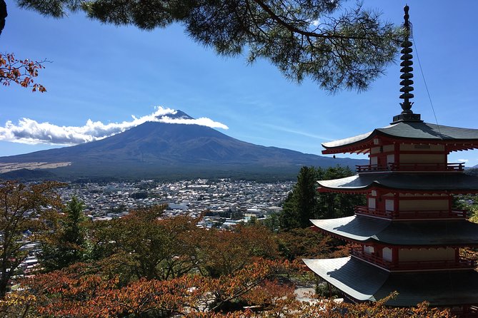 Private Car Tour to Mt. Fuji Lake Kawaguchiko or Hakone - Aokigahara Jukai: ice, wind, and bat caves (the unusual side of the Fuji area)