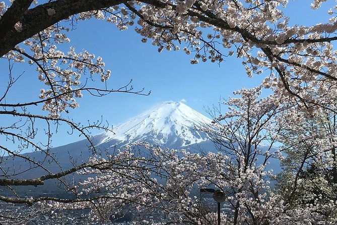 Private Car Tour to Mt. Fuji Lake Kawaguchiko or Hakone - Hakone instead of Lake Kawaguchiko: ropeway views, volcano stops, and Lake Ashi